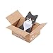 Yosoo Cartoon Cats Sticky Notes, Pack of 5