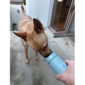 Stainless Steel Dog Travel Water Bottle Vacuum Insulated Portable Dog Water Dispenser Drink Cup and Snack Container On The Go Outdoor Walking Hiking Travel Mint