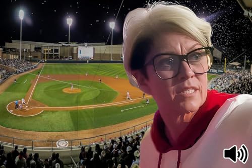 ‘Karen The Ballsnatcher' & How Self-Absorption Is Shredding America's Community Fabric