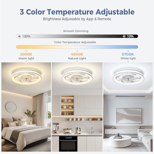 Modern Ceiling Fans with Lights-19 Low Profile Ceiling Fan for Bedroom with Quiet DC Motor-Flush Mount Ceiling Fan with Remote Control Dimmable Bladeless Ceiling Fans for Indoor/Living Room