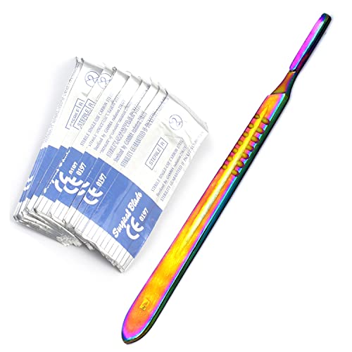 LAJA Imports Multi Color Scalpel Handle #4 +20 Sterile Blade # 24 Dental Instruments