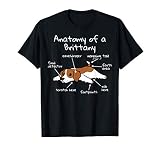 spaniel breton tricolor venta Este Anatomy Of A Spaniel Bretón es un gran regalo para un dueño de un Spaniel Bretón. Cuenta con un Brittany Spaniel anatomía.