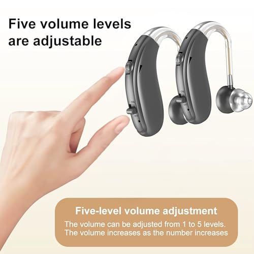 Image of Fastwell F27-2 Unit For Both Ear Rechargeable Hearing Aids for Adults with Hearing Loss, Mild To Moderate, Noise Reduction Ear Machine, (Grey-Pair) 1-Year Warranty