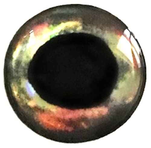 Brule 3-D Epoxy Fish Eyes (Fury-S, 20mm)