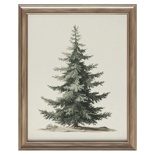Vintage Pine Tree Botanical Wall Art Print, Rustic...