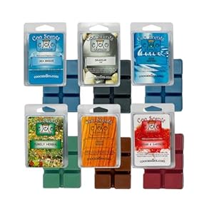 6 Pack Soy Blend Wickless Candle Scented Wax Melts Bars – Wax Cubes for Scented Wax melt Warmer – Man Cave Scents, Cool Water, Drakkar Cologne Type, Cedar & Saffron, & More! Made in The USA