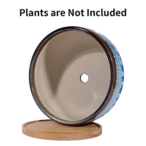 Epfamily 8 Inch Succulent Planter Pot With Drainag And Saucer Shallow Bonsai Pot For Indoor Plants Blue #TOP3
