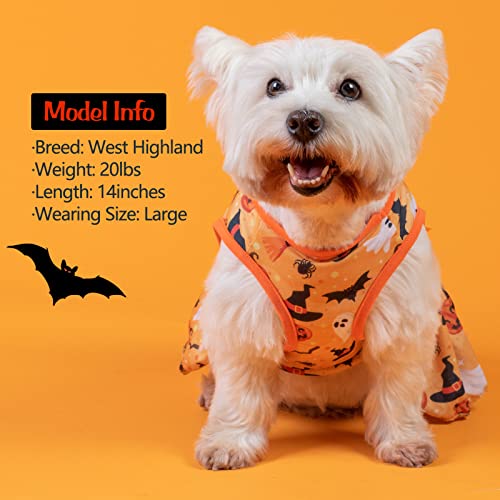 Kyeese Halloween Dog Dress For Small Dogs Pumpkin Ghost Dog Dresss With Bowtie Dog Apparel, M #TOP6