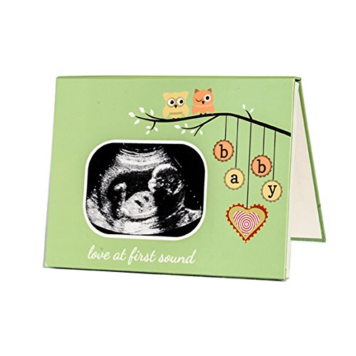 My Baby's Heartbeat Bear Recordable Stuffed Animals 20 sec Heart Voice Recorder for Ultrasounds and Sweet Messages Playback, Perfect Gender Reveal for Moms to Be, Ultra Sound Frame