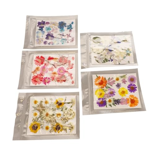 Jeffergarden Flores secas para resina y manualidades 5 bolsas miniatura 1