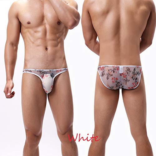 Mens Sexy Underwear Breathable Sexy Mesh See Through Bikini Briefs3