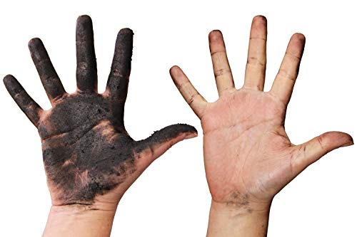 Amazon Com Nettuno Hand Cream With Natural Abrasive 100 Natural 1000 Ml 33 81 Fl Oz Made In Italy Smell Of Floral Fruity Scent 1 Beauty