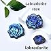 WUYOUSHI Natural Labradorite Crystal Rose Statue 1.37