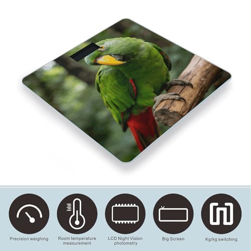 Báscula Digital de Baño Precisa con Pantalla LCD Grande miniatura 3