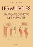 Les muscles : anatomie clinique des membres