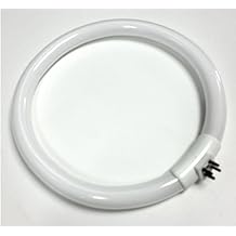 FC22T5/865 Outside PINS 22W 22 Watt 7.25 inch Diameter Circular Fluorescent lamp/Bulb for Magnifying Lamps