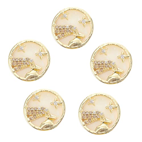 PACKOVE Aquarius Nail Charms Set 5pcs Studs Stickers Stylish Nail Art Decor for DIY Present Ideas