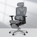FLEXISPOT ErgoX Ergonomic Office Chair With 3D Armrests & Headrest Mesh Desk Chair with 5D Lumbar Support & Seat Depth Adjustment Task Chair with Footrest Adaptive Comfort for Home & Work