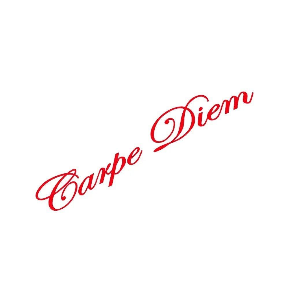 Car Vehicle Front Windshield Sticker Vinyl Decals(Glossy Red)