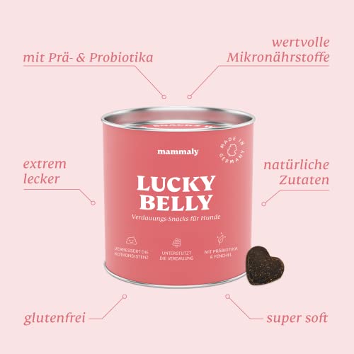 9-in-1 Probiotika für Deinen Hund - Lucky Belly 220 Drops (650g) von mammaly - Bei Magenprobleme & Verdauungsprobleme für Magen-Darm, Verdauungssnacks bei Gras fressen & Kotfresser Leckerlies mit Huhn