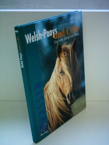  Welsh-Ponys und Cobs: Englands königliche Ponys