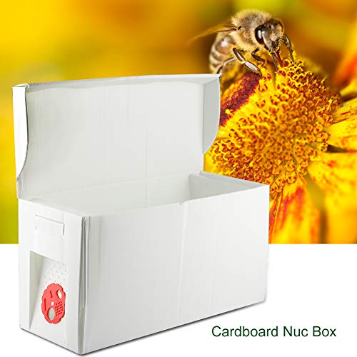 FAMKIT Papp-Nuc Box Bienenstock Bee Nuc Imkerei Imker Ausrüstung – Bild 8