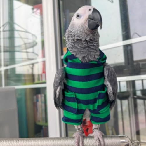 Fantasia de pássaro fofo, acessório para fotos de cosplay de papagaio, pano de pássaro para festas d