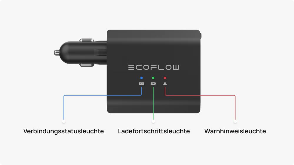 EcoFlow - Batería Inteligente para Coche, Cargador de Coche Inteligente de 12/24 V, Dispositivo de Almacenamiento de batería y desulfatador para AGM, LifePo4, Gel