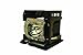Optoma BL-FP330B, P-VIP, 330W Projector Lamp