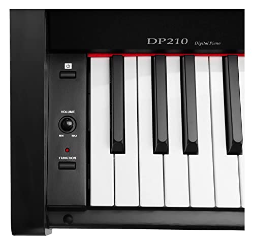 Classic Cantabile DP-210 SM Piano Numérique – 88 touches clavier mécanique à marteaux – E-Piano avec USB to host, 3… - Les Beatles, Paul McCartney, John Lennon, RIngo Starr, George Harrison Classic Cantabile DP-210 SM Piano Numérique - 88 touches clavier mécanique à marteaux - E-Piano avec USB to host, 3… – Image 8