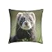 Funda De Cojín 45x45 cm, Hurón Lindo Funda De Cojín Hogar Decorativo Almohada Cuadrada para Sofá Dormitorio Sala Cama Hogar Interior, Exterior