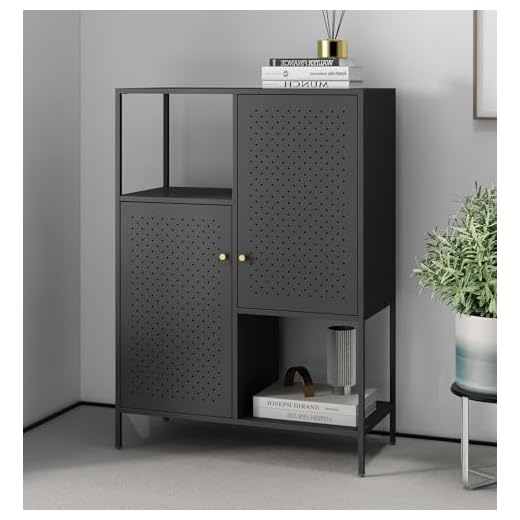 Hallowood Furniture Bewdley Display Cabinet with 2 Shelves and 2 Single-Door Compartments, Small Black Metal Bookcase, Modern Office Shelving Unit for Hallway, Living Room Cabinets