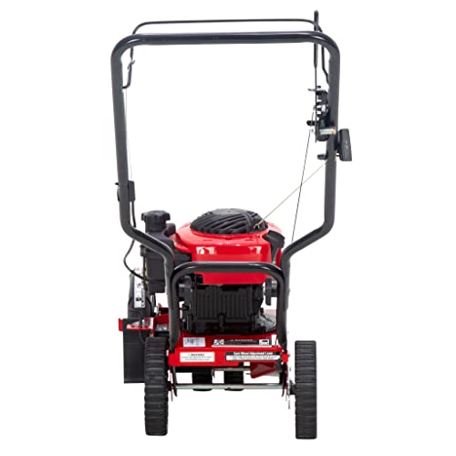 Craftsman Gas Powered Edger, 140cc, 4-Cycle Briggs and Stratton Engine (E450)