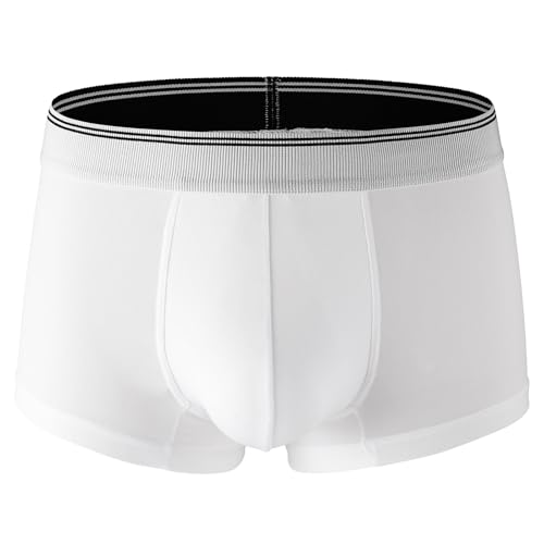 Mens Underwear Microfiber Performance Boxer Briefs for Men Mid-waist Skin-friendly Breathable Lightweight Panty