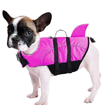 best cat life jacket