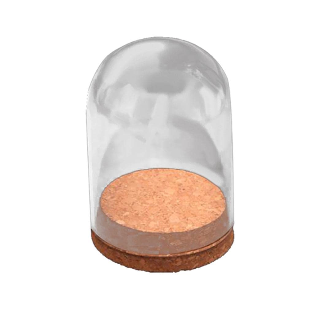 10 Terrarios de Cristal con Tapa de Madera, Ideales como Terrarios Decorativos, Macetas O Adornos para El Hogar Y La Oficina, 8 pcs