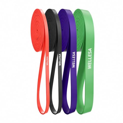 Wellesa Resistance Bands, Pull Up Assist Exercise Band, Perfect for Mobility, Body Stretching, Home Workout, Fitness Training Loop Bands for Men & Women (Red, Black, Purple, Green)