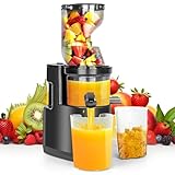 Dreamhigh® 550W Extractor de Zumos y Verduras, apto para lavavajillas