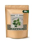 Biojoy Foglie di Ortica BIO (250 g), essiccata e tagliata, per Tisana (Urtica dioica)