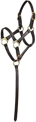 Schneiders Premier 2 in 1 Foal Halter for Horses | Universal Fit for Foals | Two Crown Lengths | Quick Lead Grab Strap | Double Adjustable Crown and Curb Strap | Durable Brass Hardware