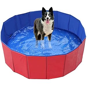 AOOPOO Hondenzwembad, Opvouwbare Hond Kat Zwembad Draagbare Hondenbad Puppy Kitten Badkuip Zwembad PVC Antislip Waterbak voor Kat Puppy Pet (S-50 * 8cm)