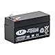 Sicherheitsbatterie, 12 V, 7,2 Ah (20 Stunden), Landport, NSA LP12-7.2 T2 VDs (12V 1,2AH)