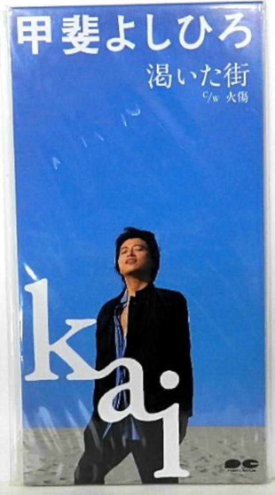 甲斐よしひろ APTS3X3O5VMFLDMRED76BYJLJA.jpg