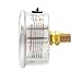 5 Pack of Liquid Filled Center Back Mount Pressure Gauge with 2