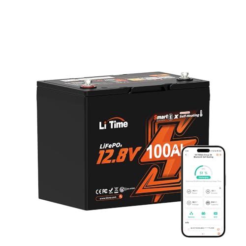 LiTime 12V 100Ah Battery
