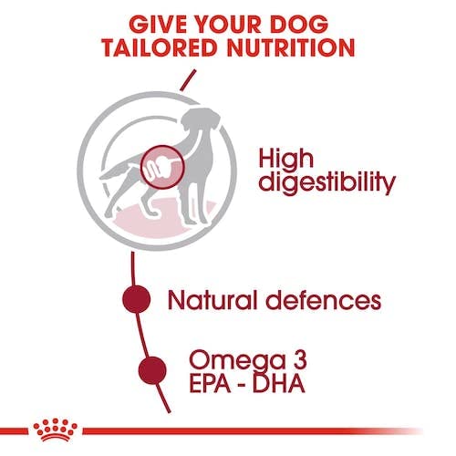 ROYAL CANIN Medium Adult | Doppelpack | 2 x 10 x 140 g | Alleinfuttermittel für Hunde | Ab dem 12. Lebensmonat