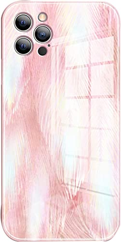 Coque antichoc compatible avec iPhone 12 Pro Max protection renforcée appareil photo en verre