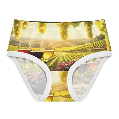 Cotton Girls Underwear Toddlers Vibrant Warm Sunset Vineyard Cute Panties Girl Cartoon Kids Undies Briefs 2t