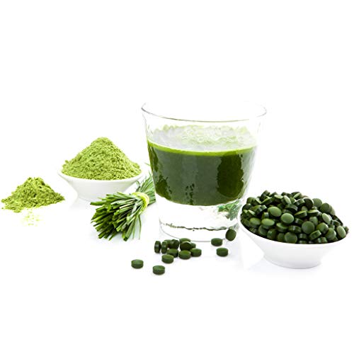 Green Foods Green Magma, 10.6 Ounce