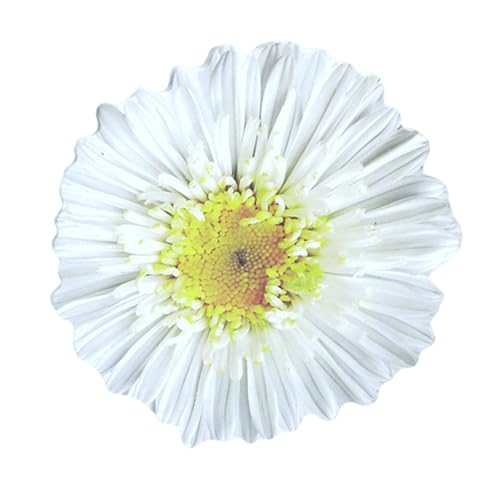 25V[g̉Ԃ̌`fUCXeBbNm[gpbhI[gX^bLOpbhXeBbNm[gS^Ԃ̃fUC